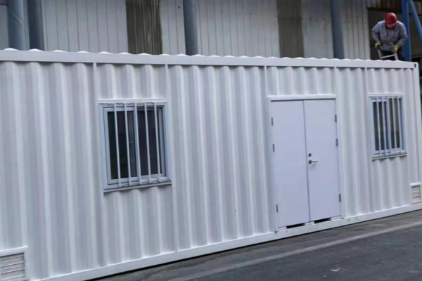 Electrolytic Synthesis Gas from Carbon Dioxide